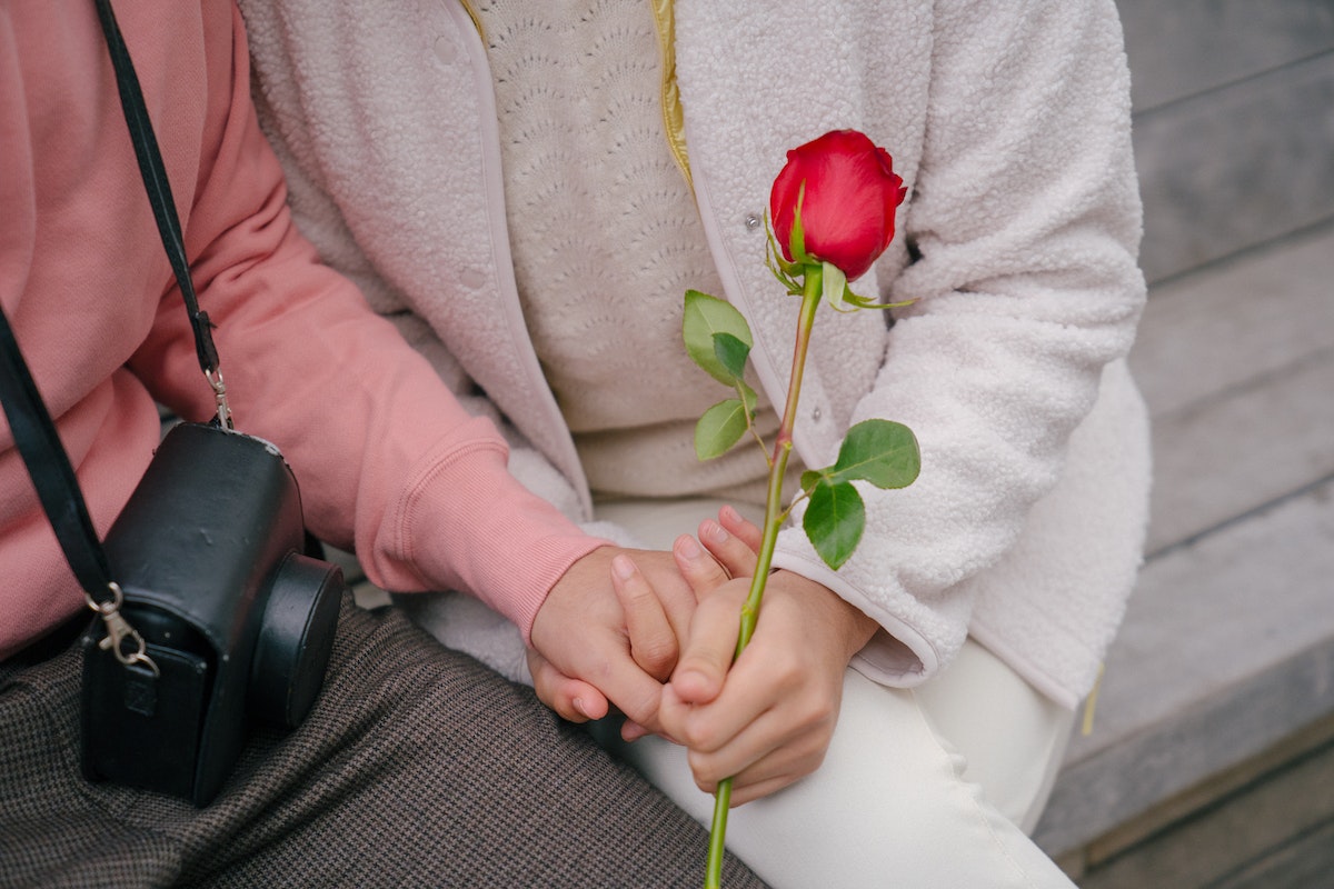 Couple Sitting On A Bench With Red Rose